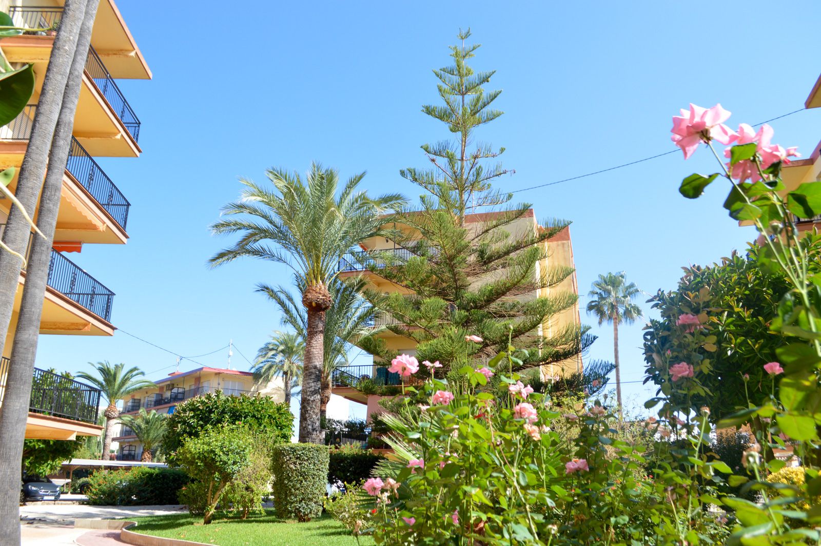 Apartamento reformado y muy luminoso a 300 m de la playa en Dénia
