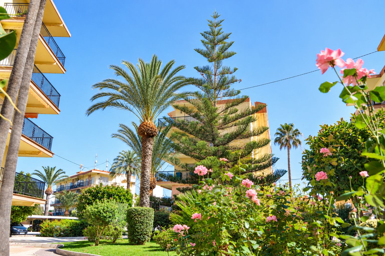 Apartamento reformado y muy luminoso a 300 m de la playa en Dénia